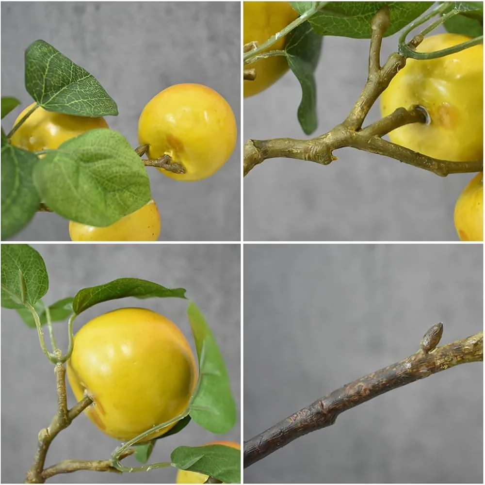 Imagen del producto 4