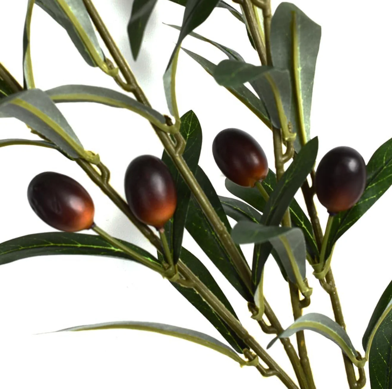 Imagen del producto 4